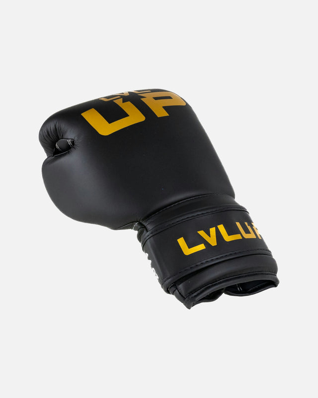 Gants de boxe LVL UP BG – Noir