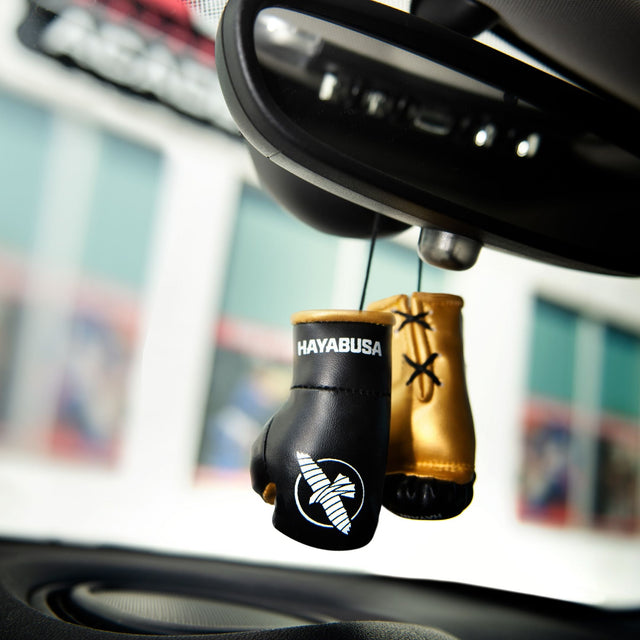 Luvas de boxe Hayabusa Mini – Preto/Ouro