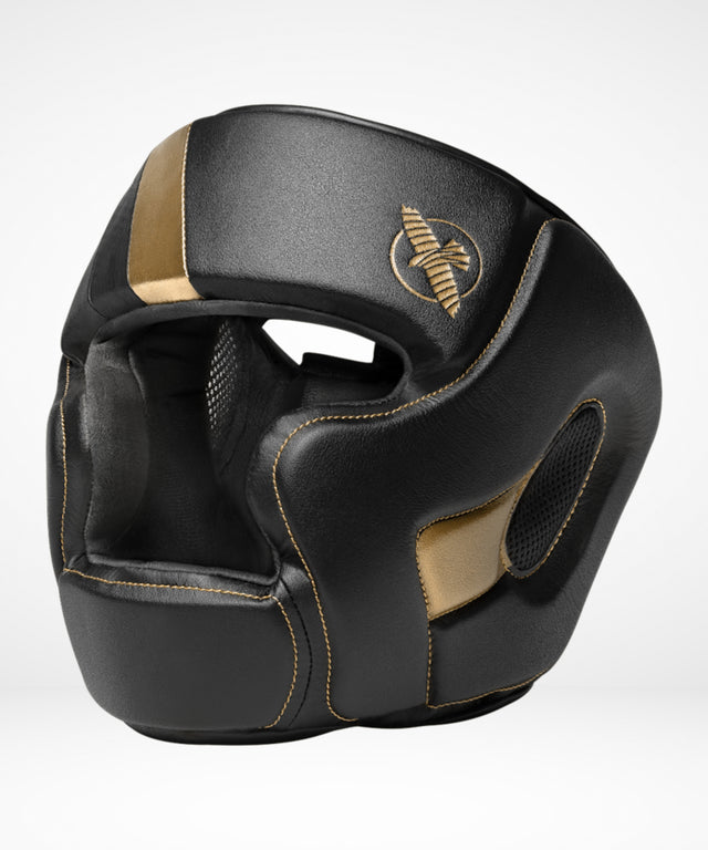 Hayabusa Huvudskydd T3 – Svart/Guld