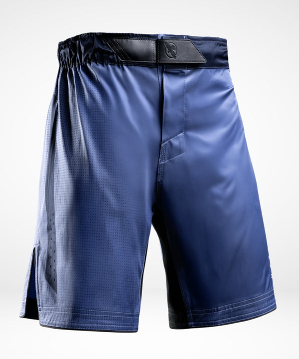 Hayabusa MMA-Shorts Core Lang – Blau