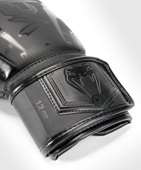 Luvas de boxe Venum Elite Evo – Preto/Preto
