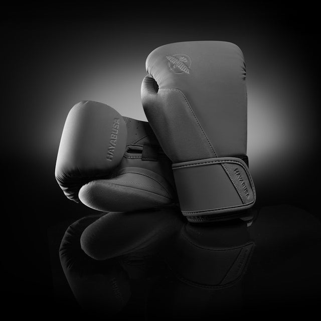 Luvas de boxe Hayabusa T360 – Cinzento
