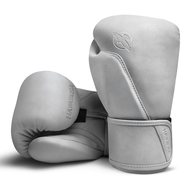 Mănuși de box Hayabusa T360 – Sea Smoke