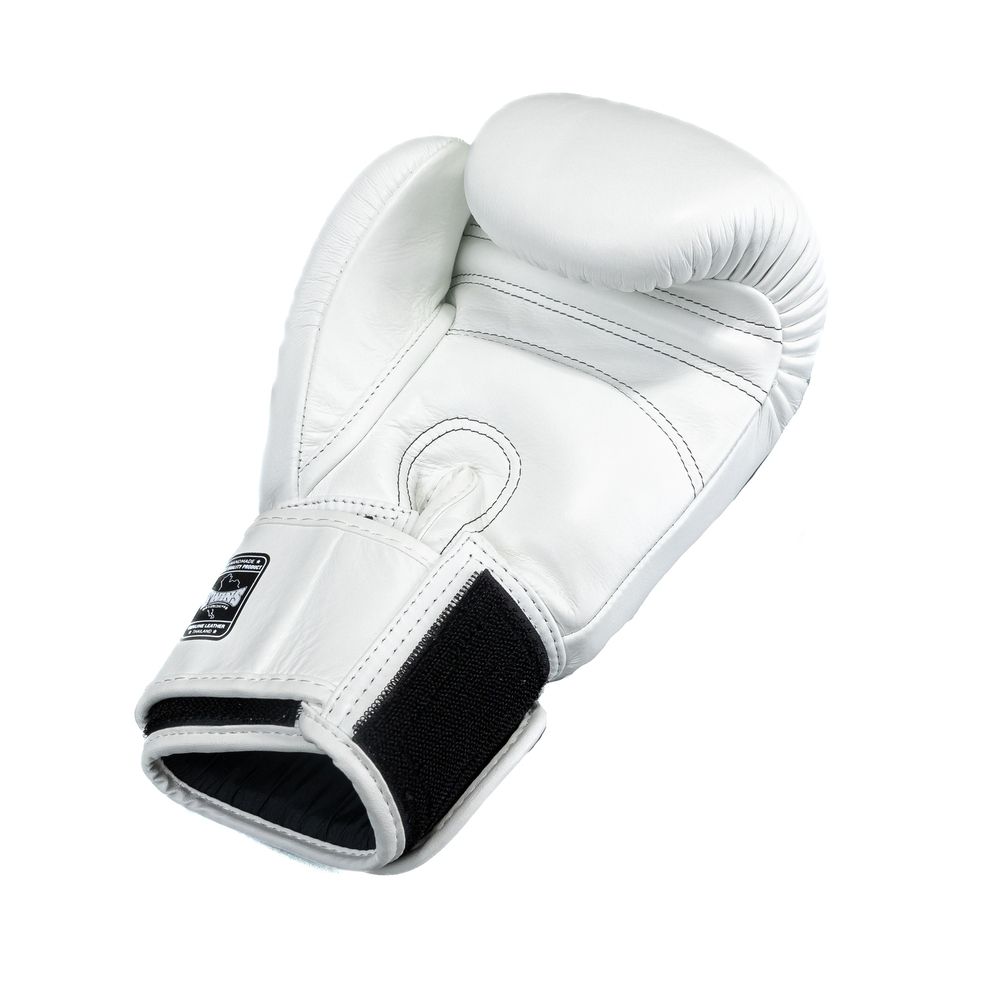 Twins Boxing Gloves BGN - White