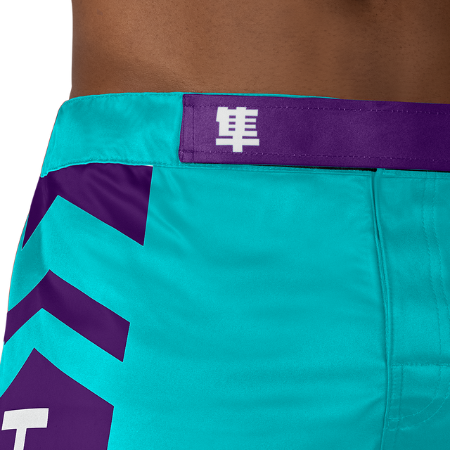 Spodenki MMA Hayabusa Icon Lang – Zielone oceanu