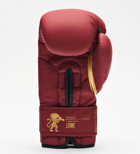 Boxerské rukavice Leone GN059X – Bordeaux/Zlaté