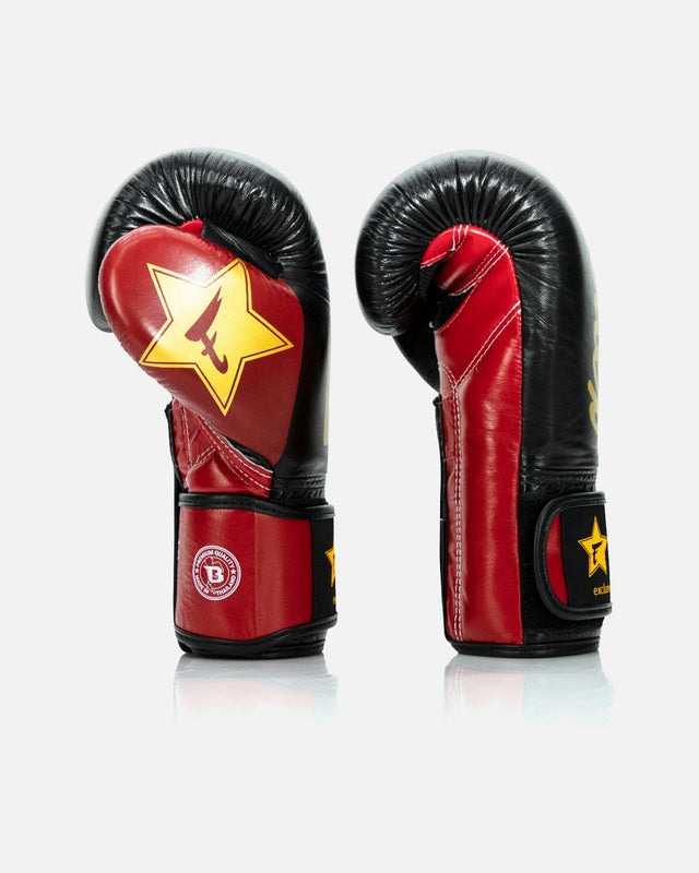 Fairtex Boksehandsker FXB V2 - Sort