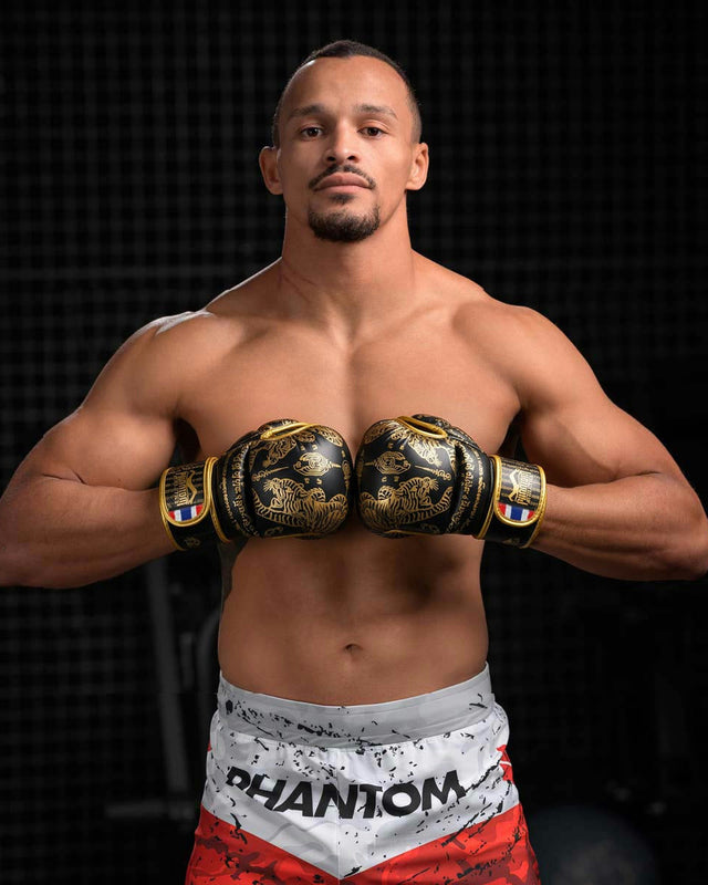 Phantom Athletics MMA-Sparringshandschuhe Muay Thai – Schwarz/Gold