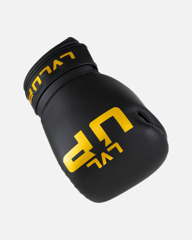 Gants de boxe LVL UP BG – Noir
