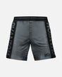 Phantom Athletics MMA-Shorts EVO Apex – Grau