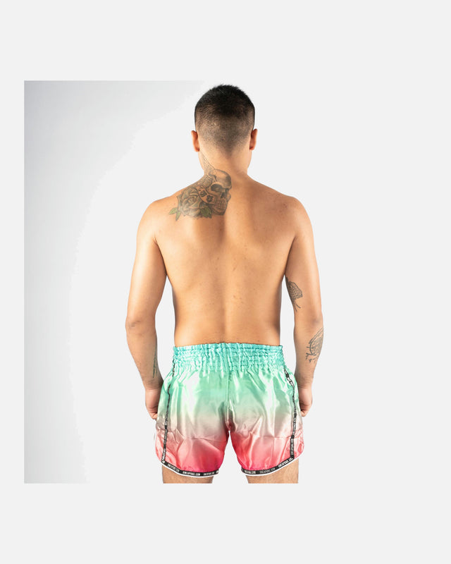 Pantaloni scurți Muay Thai 8 WEAPONS Vivo Mesosphere – Mesosphere