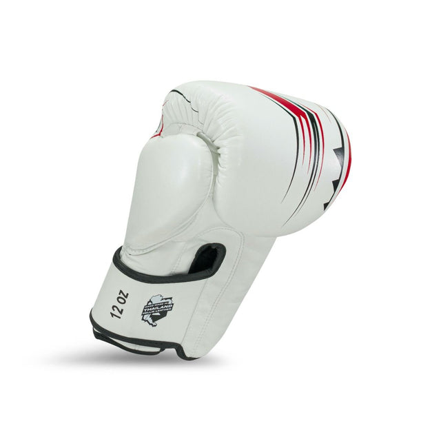 Guantes de boxeo King Pro Boxing BG Spartan – Blanco/Negro/Rojo