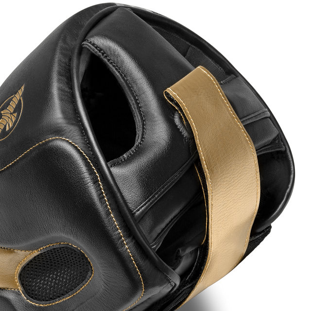 Hayabusa Huvudskydd T3 – Svart/Guld